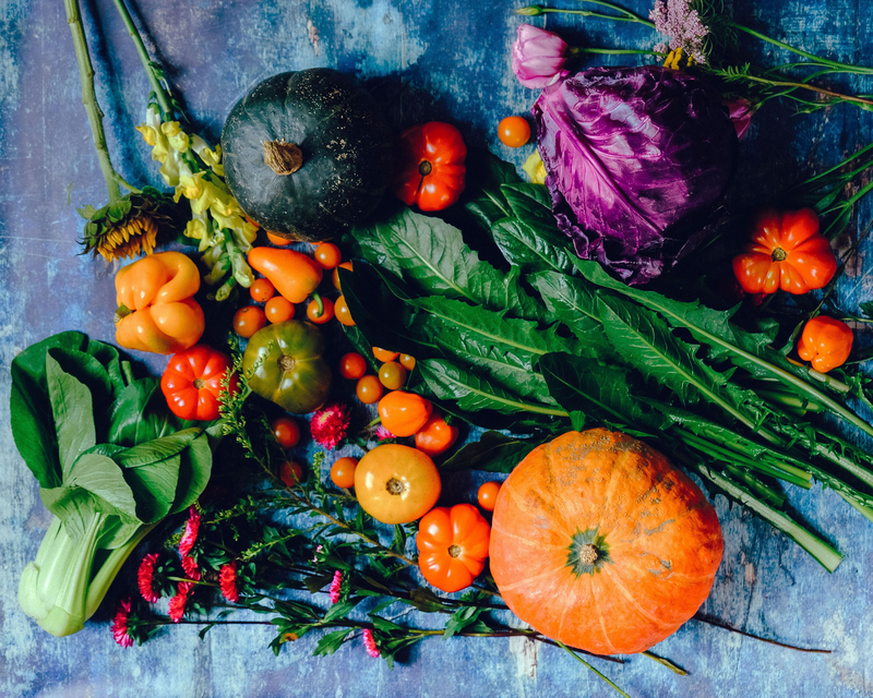Top 5 Things to Enjoy with Ayahuasca Diet