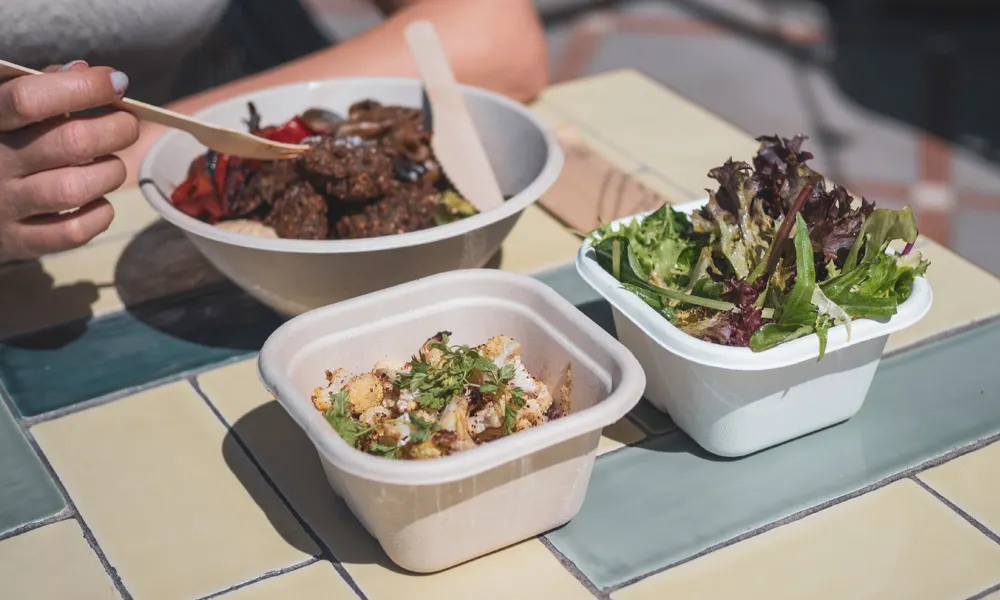 What You Need to Know About Modern Meal Delivery