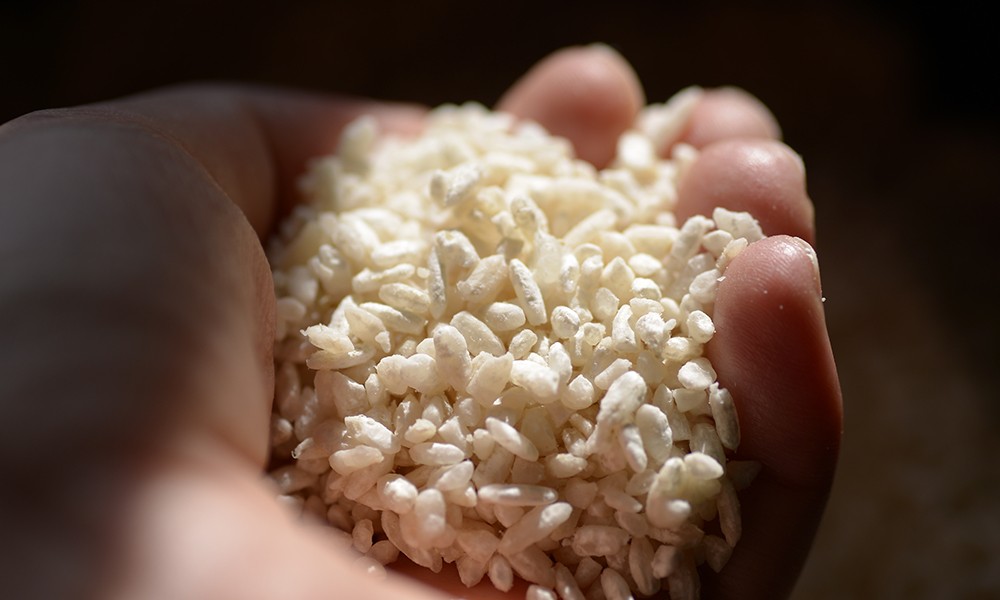 Japanese Rice Suppliers: Quality Standards and Import Options